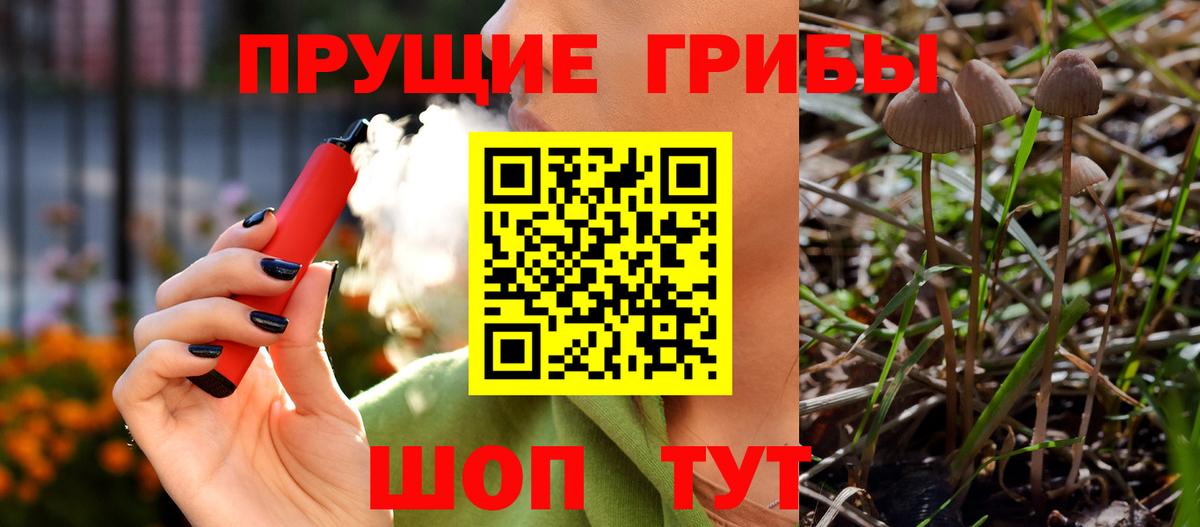Галлюциногенные грибы Cubensis  Вход с VPN  Мелеуз 